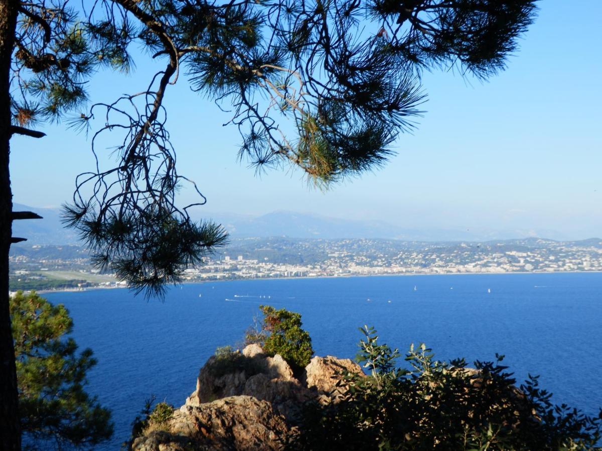 Esterel Terrasses, Roof Top, Plage, Parking Payant Cannes Esterno foto